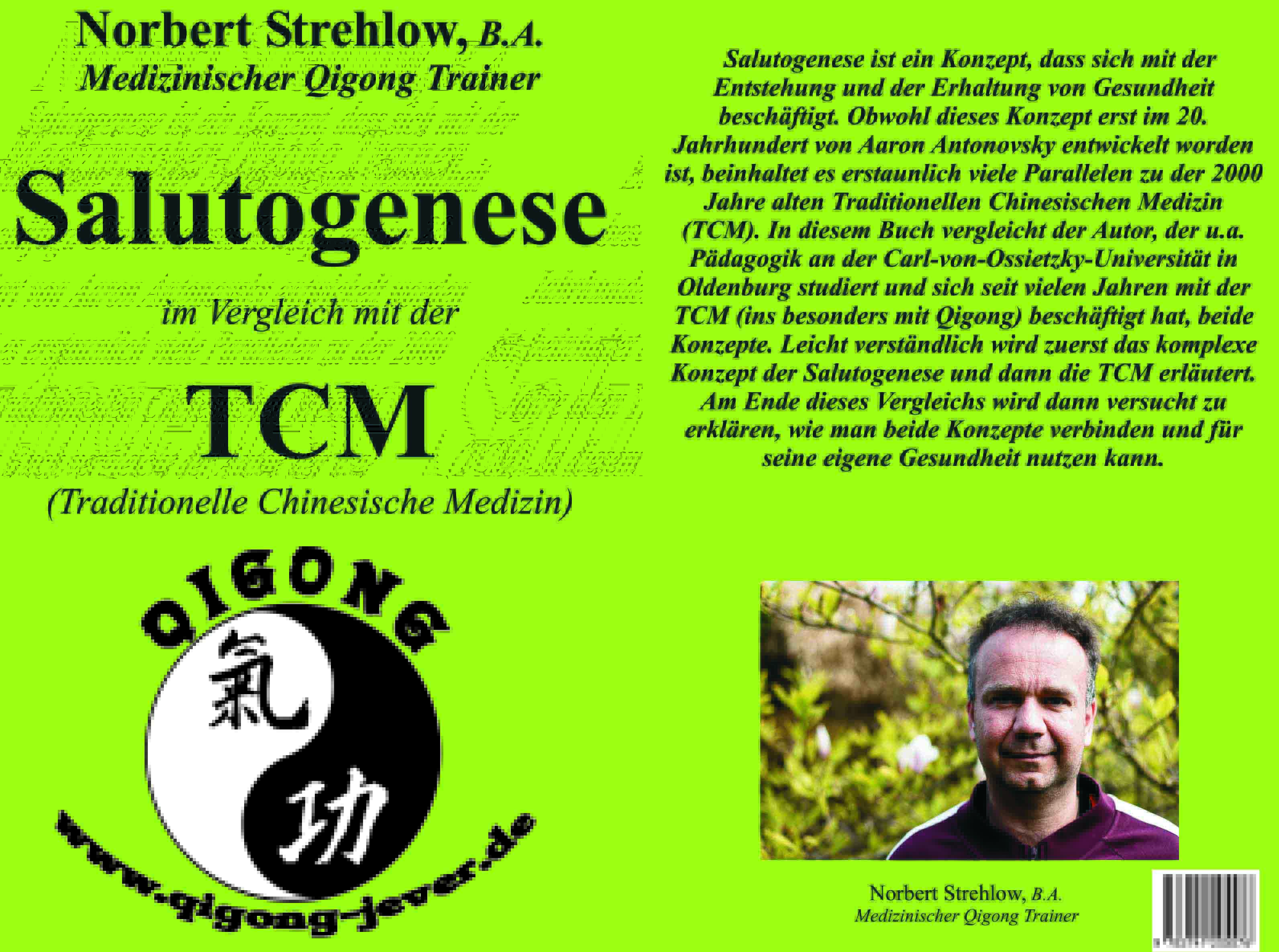 Buch Salutogenese im Vergleich mit der TCM
